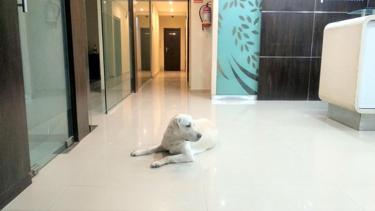 Sai Srushti By Neem Square Hotel Shirdi Exterior photo